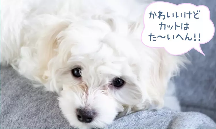 かわいいけど、カットするのはた～いへん！