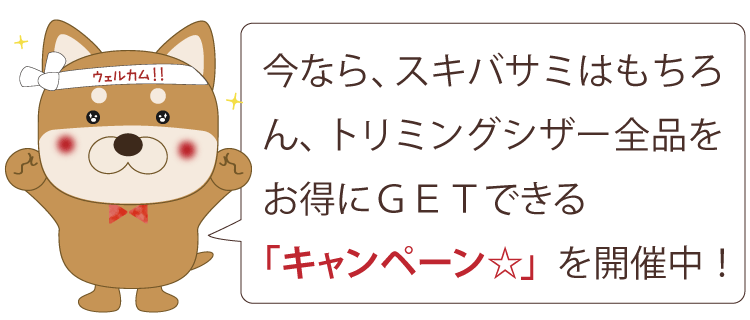 今なら、スキバサミはもちろん、トリミングシザー全品をお得にＧＥＴできる「キャンペーン☆」を開催中！！
