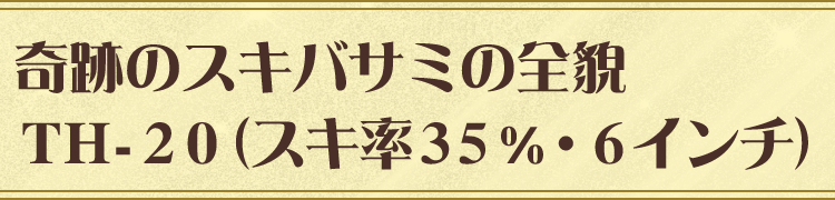 奇跡のスキバサミの全貌 ＴＨ－２０（スキ率35%・6インチ）