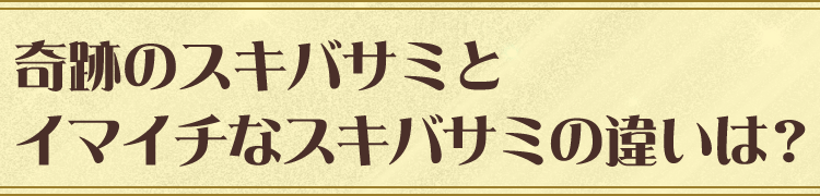 奇跡のスキバサミとイマイチなスキバサミの違いは？