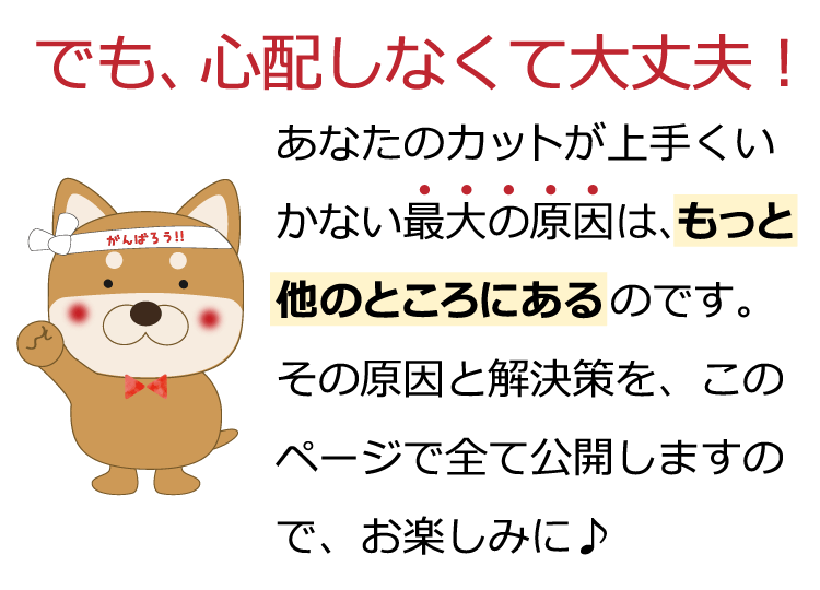 でも、心配しなくて大丈夫！あなたのカットが上手くいかない最大の原因は、もっと他のところにあるのです。その原因と解決策を、このページで全て公開しますので、お楽しみに♪