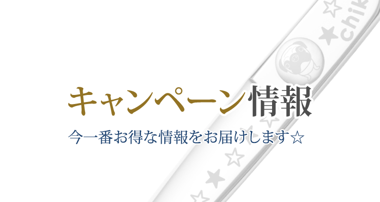 キャンペーン情報の無料請求はこちら